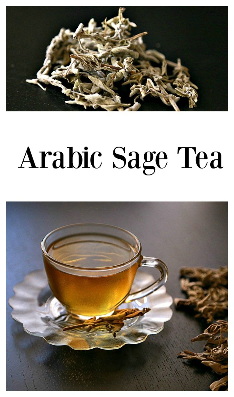 Sage Tea Meaning In Telugu